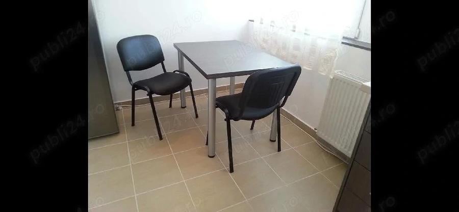 dimitrie leonida maria tereza - 4