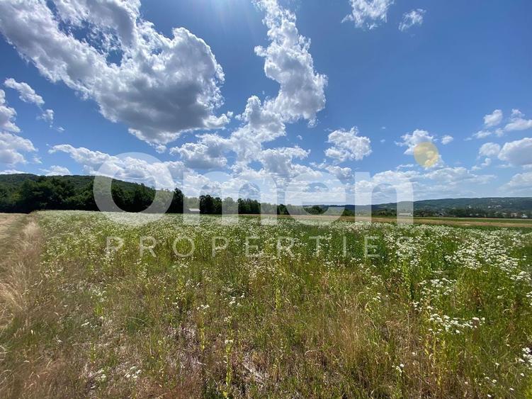 Teren de vanzare in Coas, zona linistita - 5