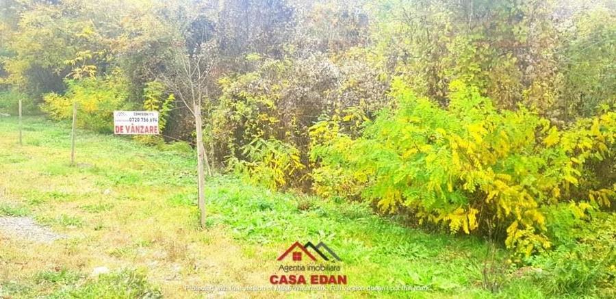 Teren intravilan in Campina--1722 mp--32e - 4