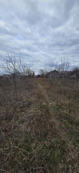 Valea Ramnicului, casa plus teren 2074 mp Rubla - 6