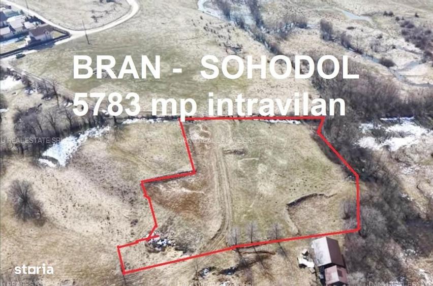 Bran Sohodol,5783 mp,P+E+M-Ideal pensiune /proiect turistic,Comision0% - 9