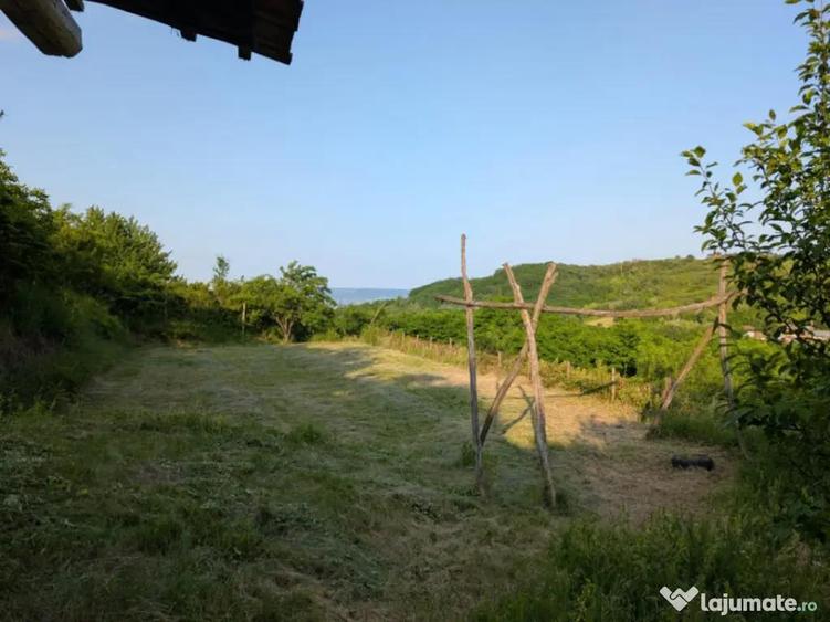 Sarata Bai- Oportunitate investi?ie- 4038 mp- priveli?te - 7