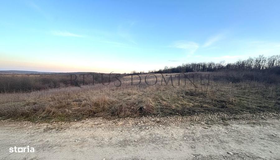 Teren Intravilan Parcelare, Lac Paleu, 8592mp, Deschidere 32ml - 3