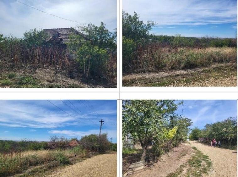 Casa si teren Sat Guruieni, cota parte de 1/2 , ID: R2319667 - 3