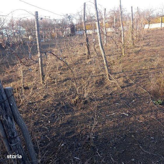 Vand teren intravilan , Islaz, Ilfov - 1