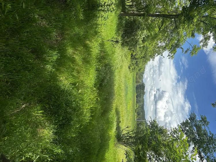 Casa batraneasca de vanzare Meline?ti jude?ul Dolj - 5