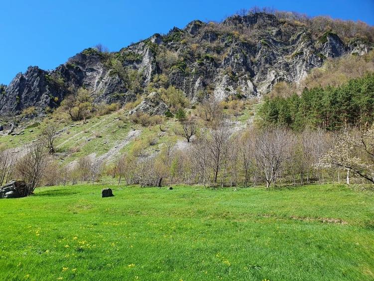 Teren de vânzare în Lepșa – ideal pentru pensiune sau casă de vacanță - 8