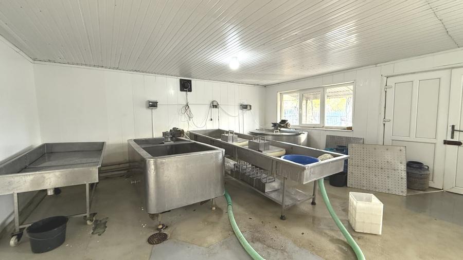 Făbrică de producție brânzeturi, Business funcțional, 25 de ani activitate - 8