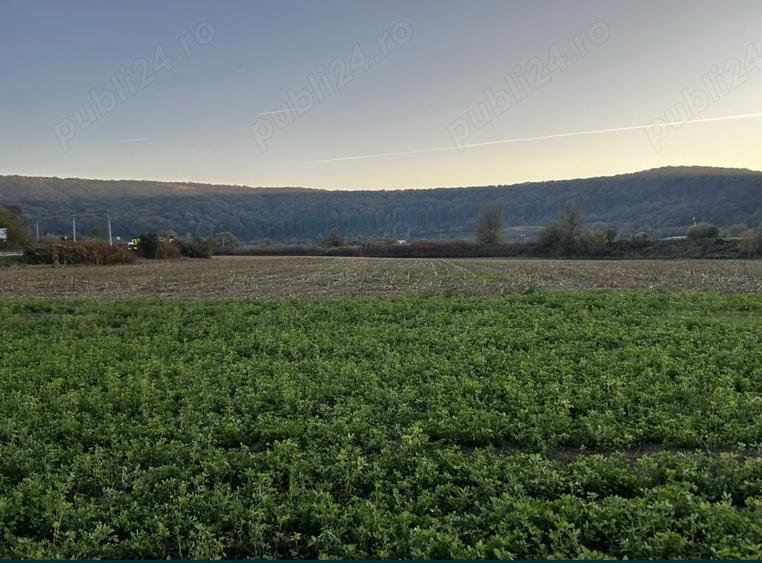 Teren extravilan-arabil 5800m2 - 9
