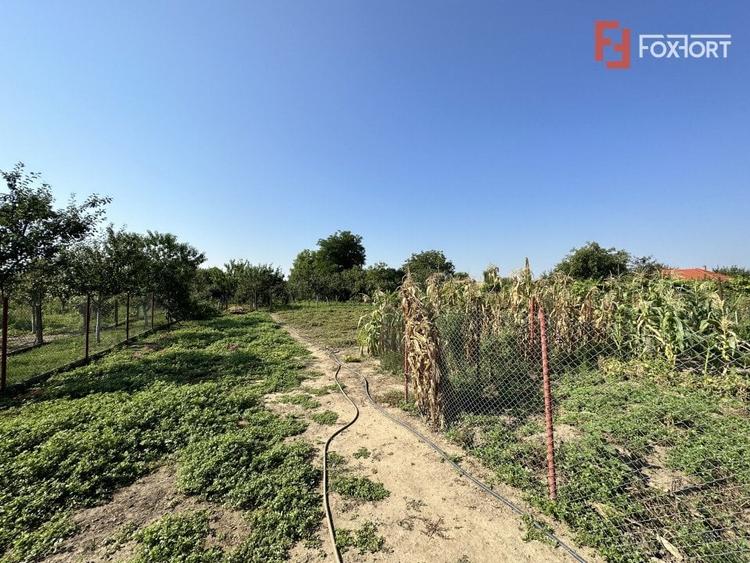 Casa individuala Mosnita Noua, 1439 mp teren - Pozitie centrala - IDV5607 - 10