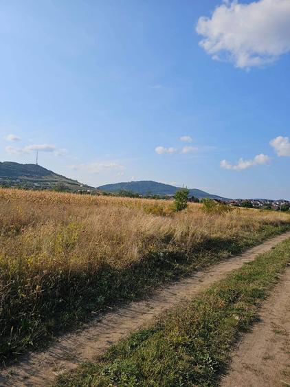 Teren intravilan 400 mp Piatra Neamt str. Plantelor, utilitati, i - 3