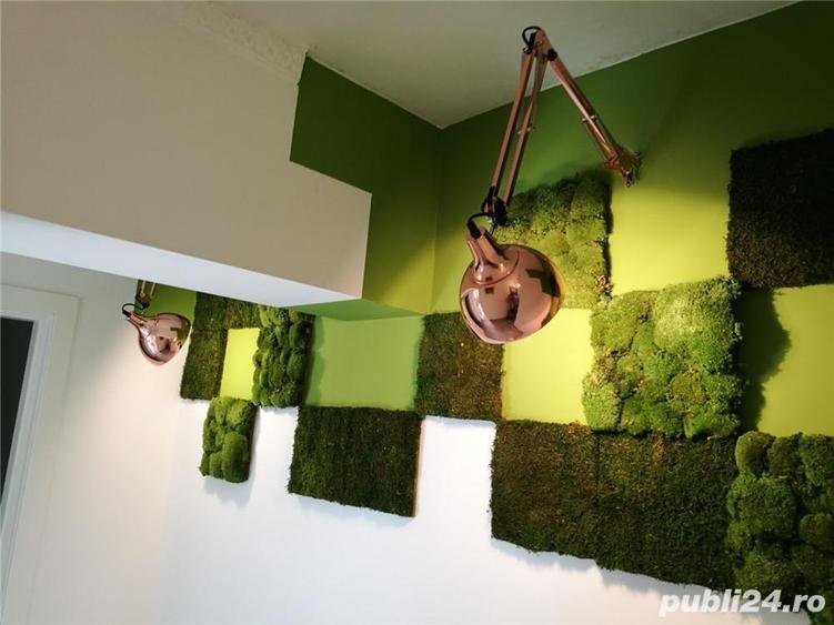 Inchiriere cabinet birou - 7