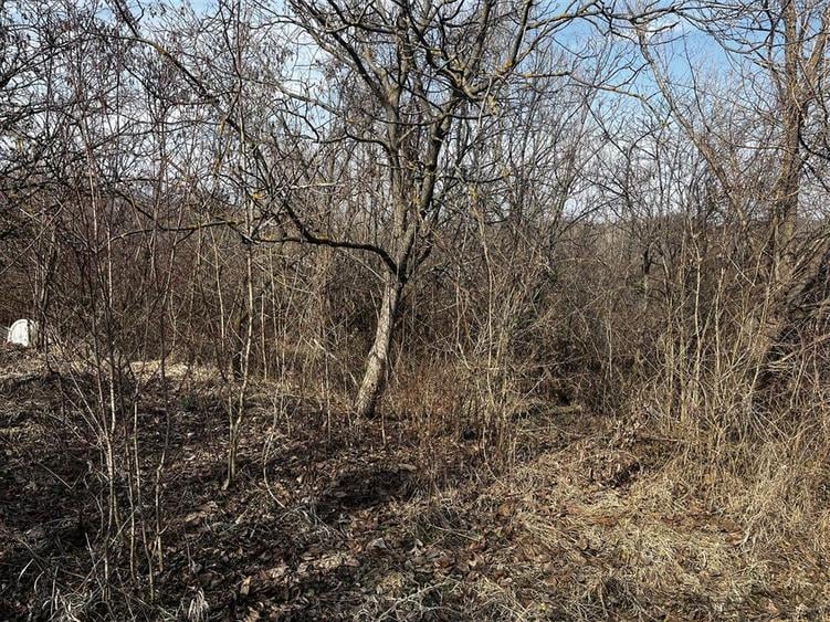 Teren de vânzare în Seciu, Prahova – 1.746 m², cu utilitati si constru - 6