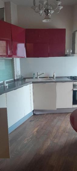 Piata Muncii-Calea Calarasilor, vila 500mp /12 camere, curte 150 mp - 13