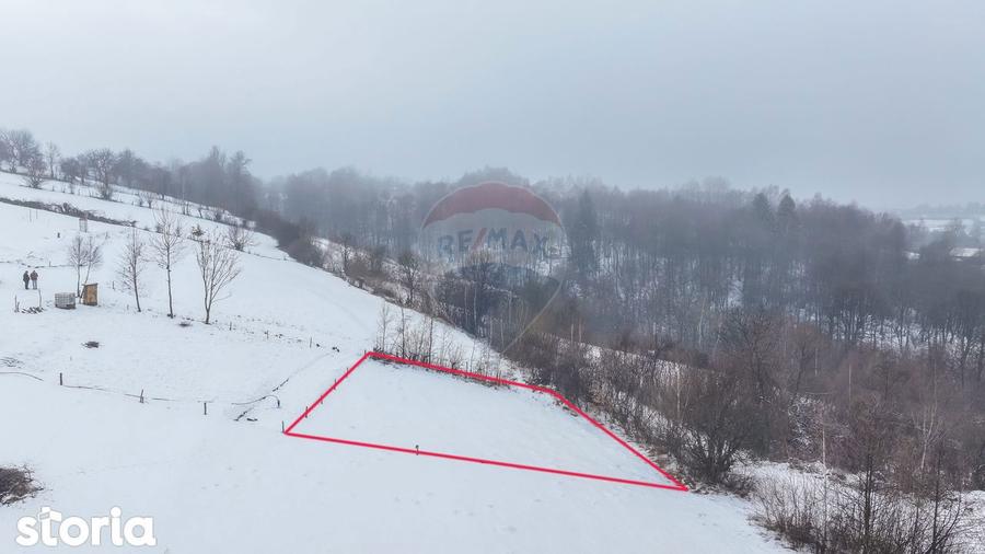 Teren 500 mp intre Perdelu? ?i Tohanul Nou - 3