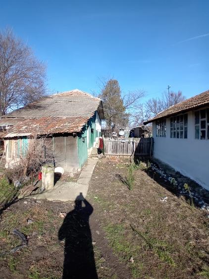 Calarasi, comuna Soldanu - 5