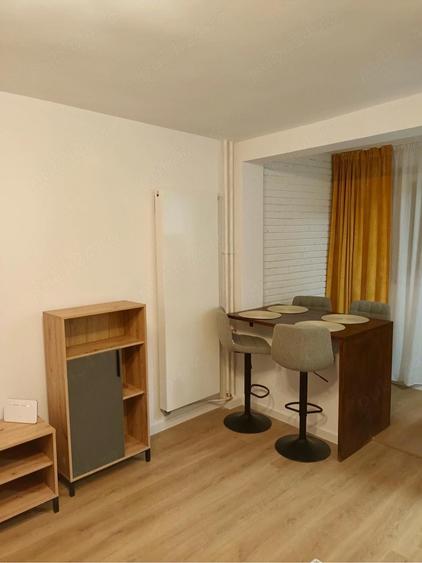 De inchiriat garsoniera | Brazda lui Novac - 2