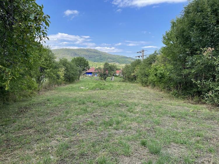 Teren de vanzare Targu Ocna - 2