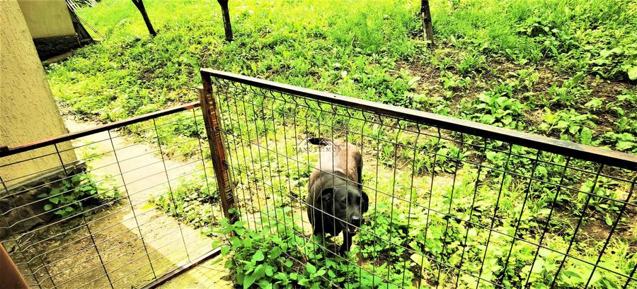 Manuel recomanda : Vila superba in Cornu de Jos 295mp , teren 1360mp - 35