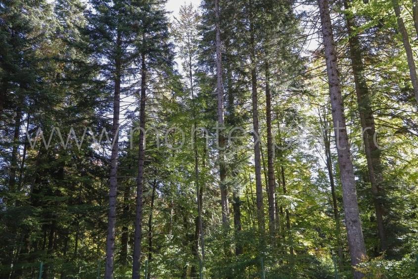 Sinaia, Furnica, apartament cu 2 camere in imobil nou!!! - 5