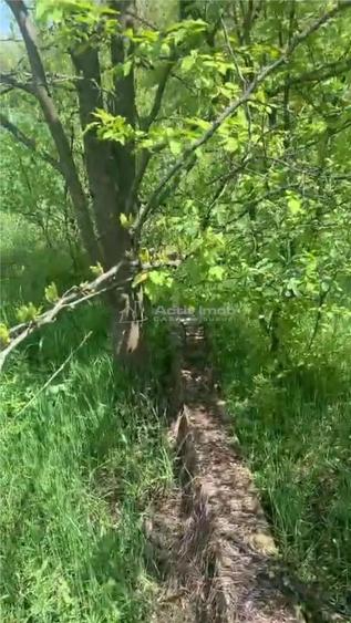 Teren intravilan 500 mp - Ganeasa - 1