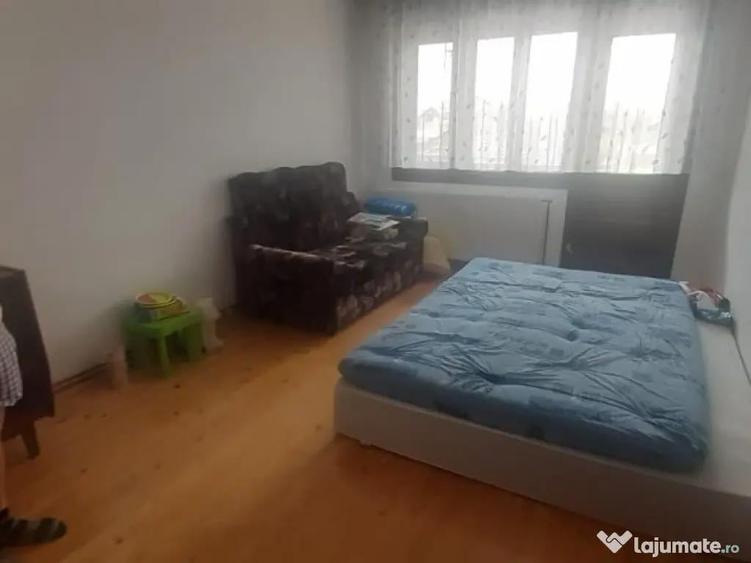 Sat Sasar, casa , 23 ari teren - 8