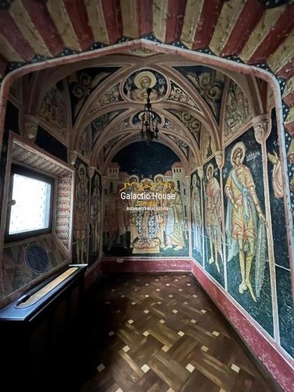 Vila 20 camere Dorobanti || Guvern || Gradina - 17