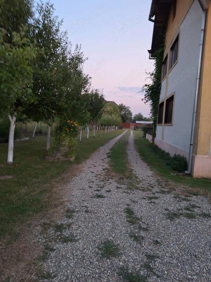 Casa de vanzare in Caransebes - 3