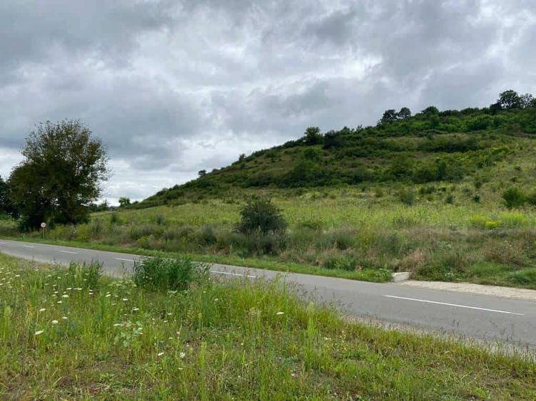 Teren de vanzare Livezeni cu deschidere 110 m la drum principal - 2