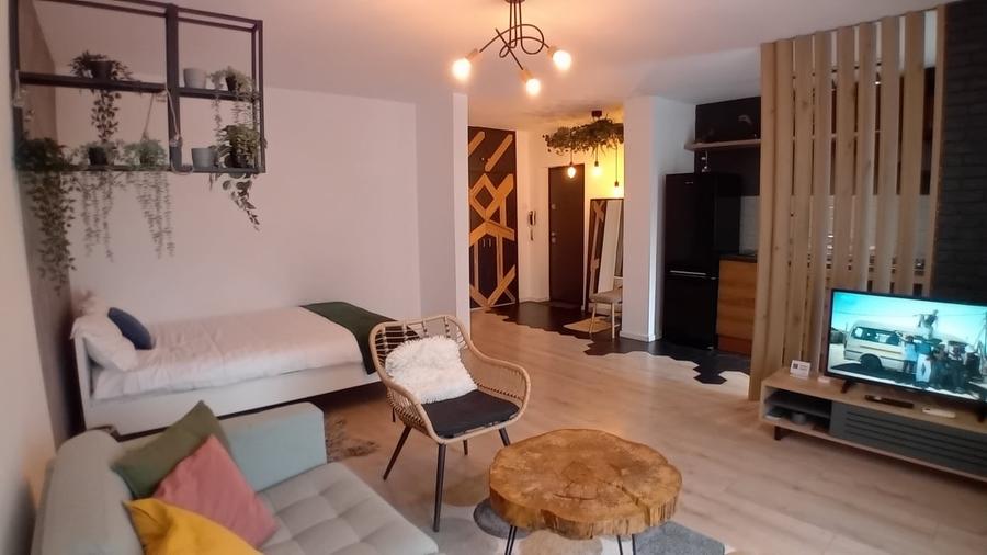 Studio elegant  Timpuri noi, Mall Vitan - 2