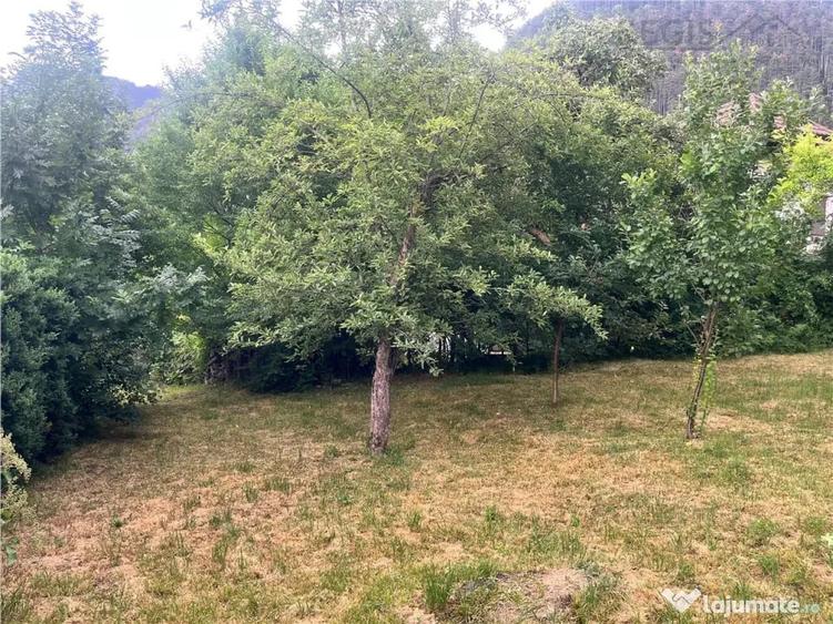 Casă cu 5 camere cu Teren 1590 Mp în Schei