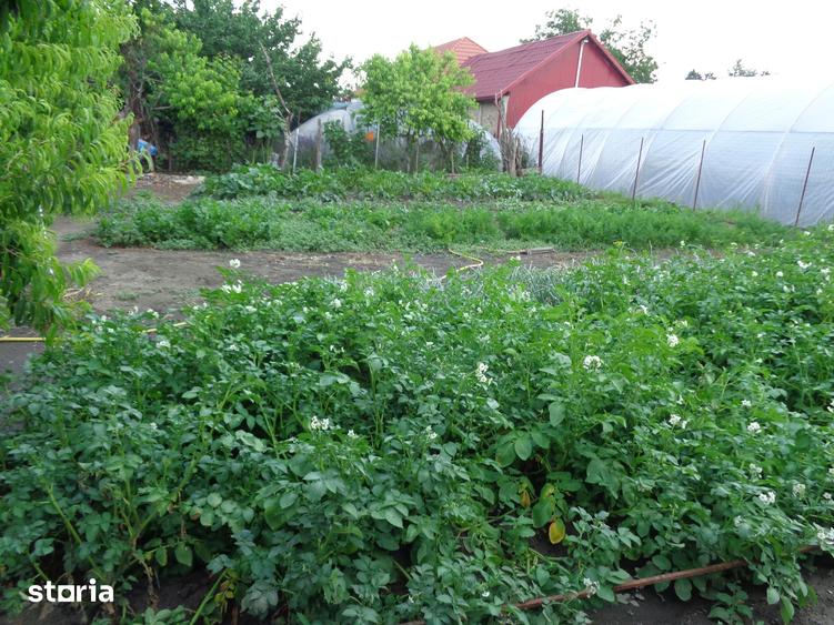 Casă cu 3 camere cu Teren 748 Mp în Central