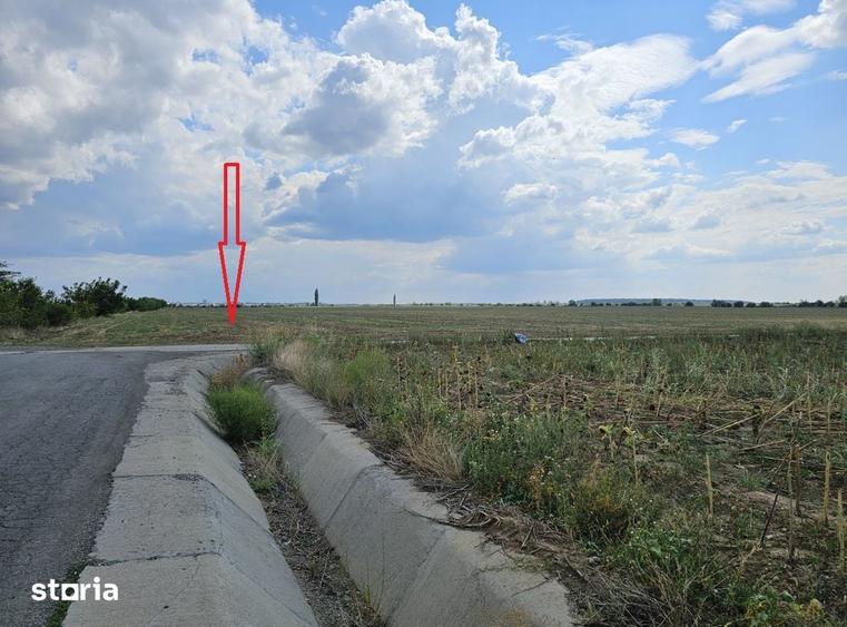 Spațiu comercial, de 14,900 mp, în Mogoșoaia