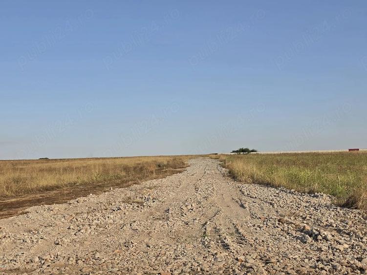 Teren de 439 mp, în Berceni