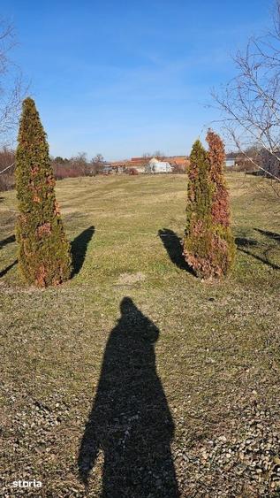 Teren de 7600 mp, în Nufărul