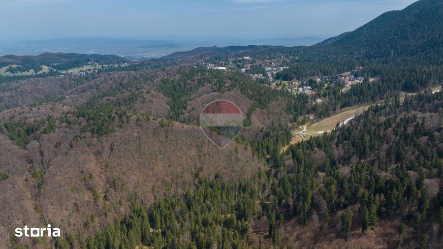 Teren intravilan, 56000 mp, Poiana Brasov - 2