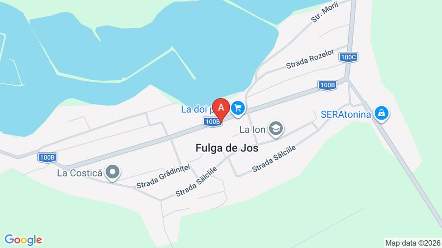 Teren agricol extravilan de 40000 mp, în Fulga de Jos