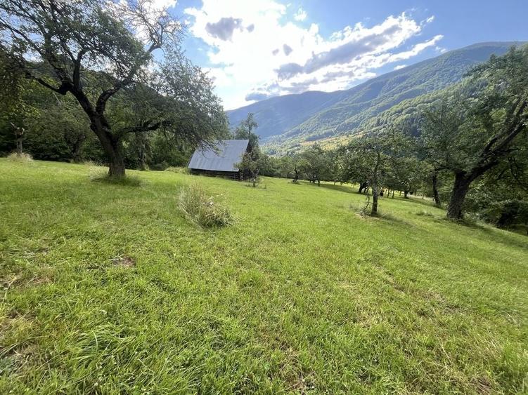 Teren de 5500 mp, în Râu Sadului