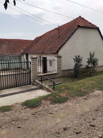 Casă cu Teren 8000 Mp în Turmaș