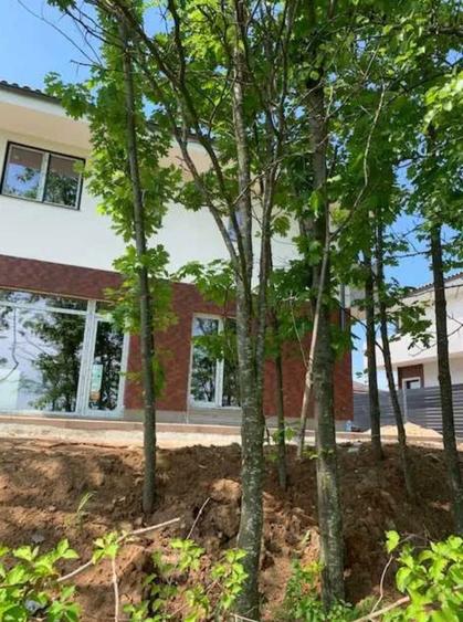 Casă individuală cu 5 camere cu Canalizare în Corbeanca