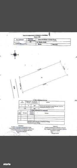 Teren Bradu 907 mp - 1