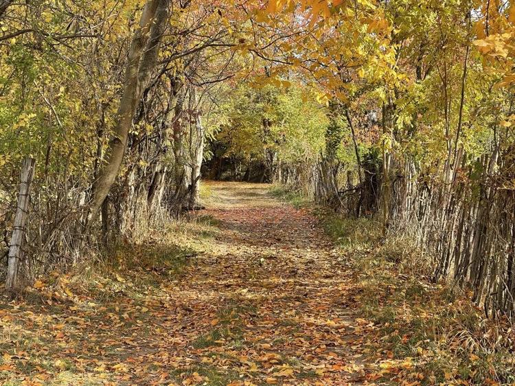 Teren Premium 1559 mp, Brebu Manastirei Refugiu Montan la 120 km de Bucuresti, - 4