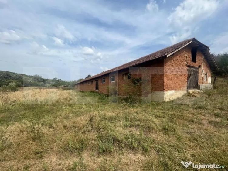 Ferma cu 3000 mp de teren si o constructie de 580 mp - 4
