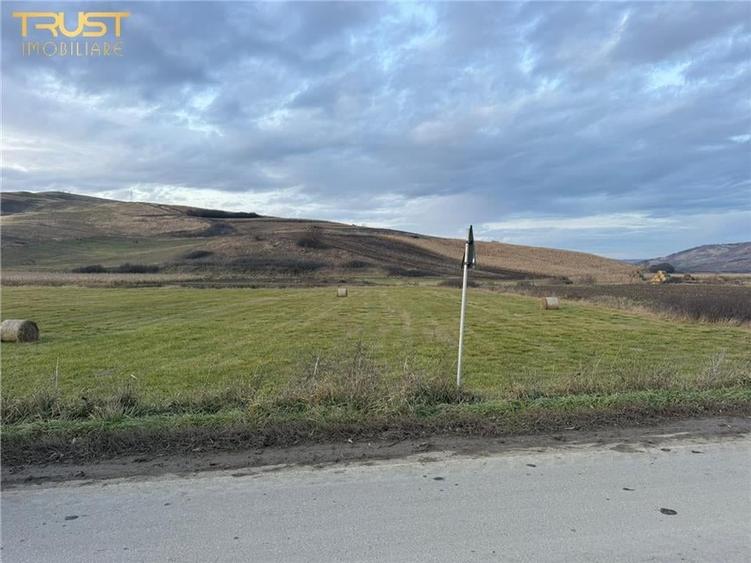 Teren Extravilan I 6000 Mp I Acces la drum | Cojocna - 7