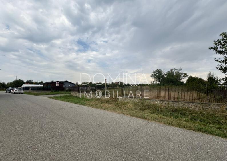 Teren 6800 mp - comuna Calnic - sat Calnic - 5