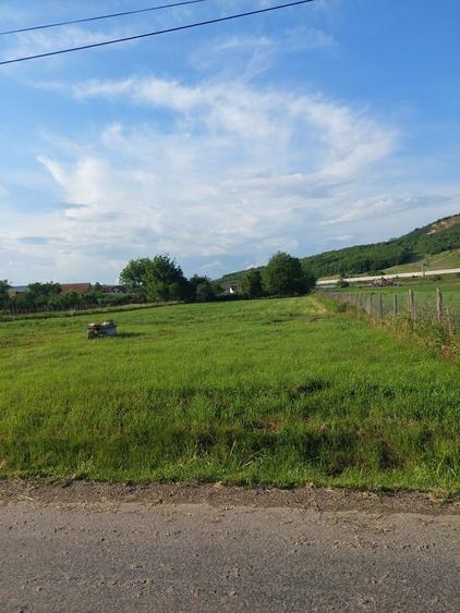 Vand teren Apoldu de jos - 1