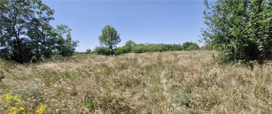 RECO Teren intravilan in Madaras-Ianosda 1420mp - 1