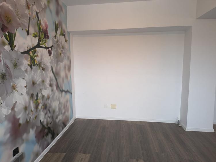 AMFITEATRU  GARSONIERA LIBERA, 36 MP , GAZE LA USA PRET 79000 EURO - 5