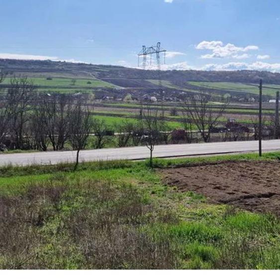 Teren cu proiect de casă + autorizație construcție, 18km de Cluj - 2