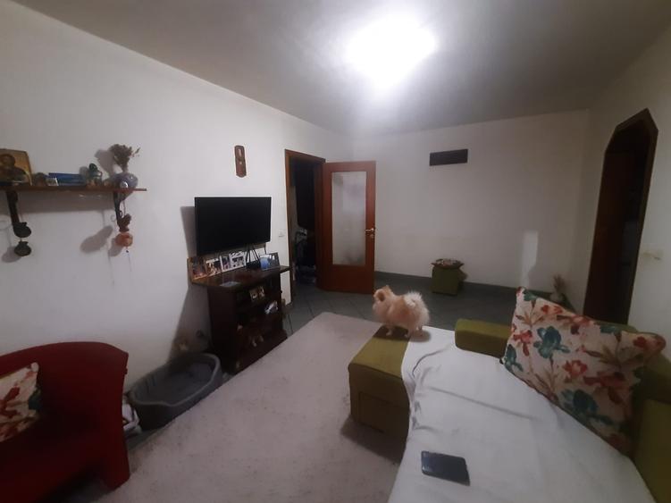 Drumul Taberei Raul Doamnei - 11